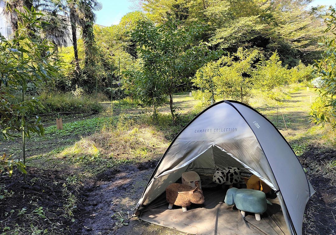 自然館泉ベリーキャンプ場