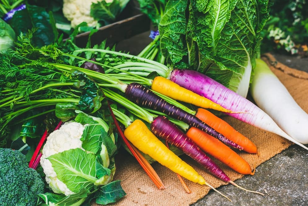 野菜直売所　FRESCO