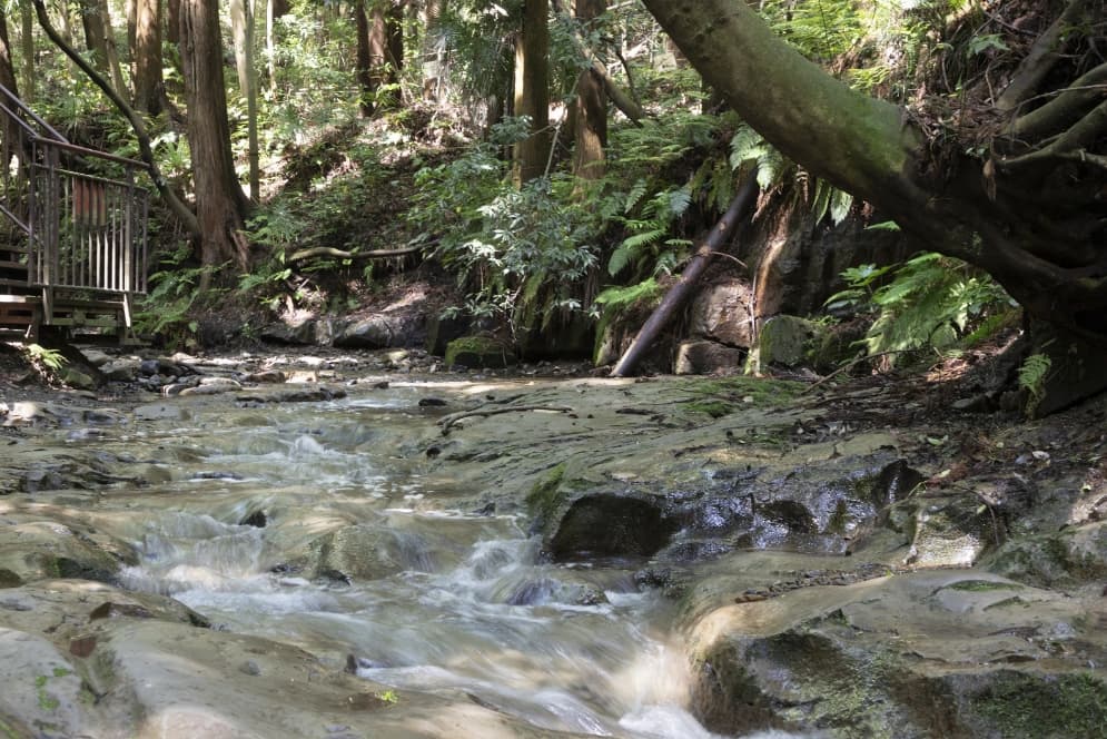陣ケ下渓谷公園