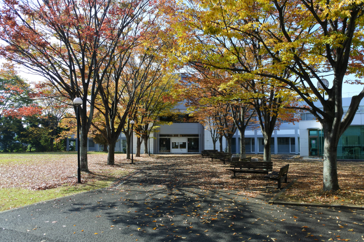 多摩大学